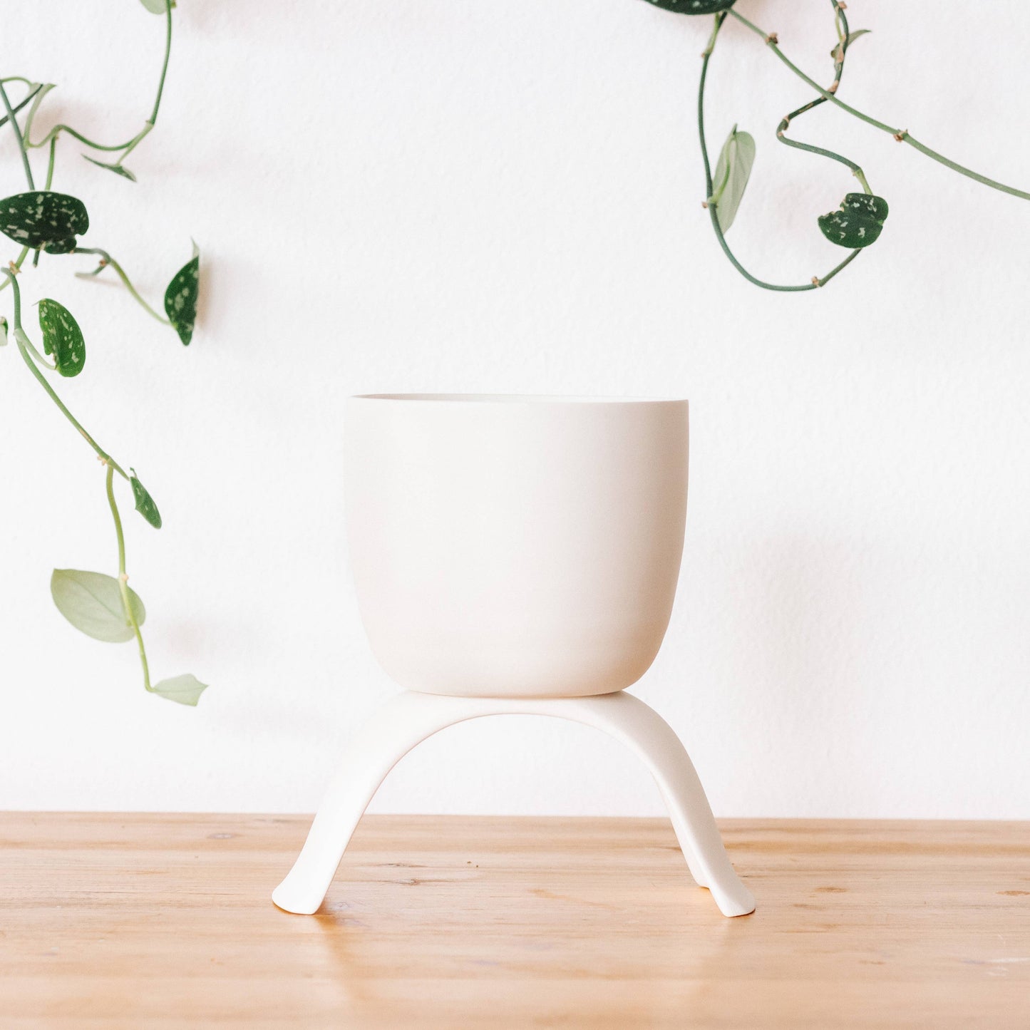 Carter and Rose High Rise, Classic Planters