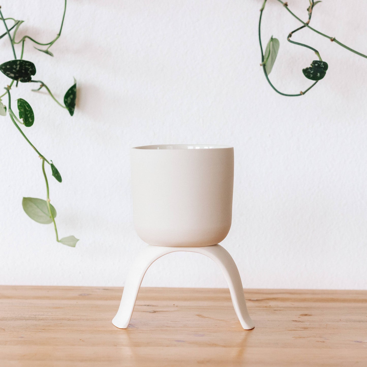 Carter and Rose High Rise, Classic Planters