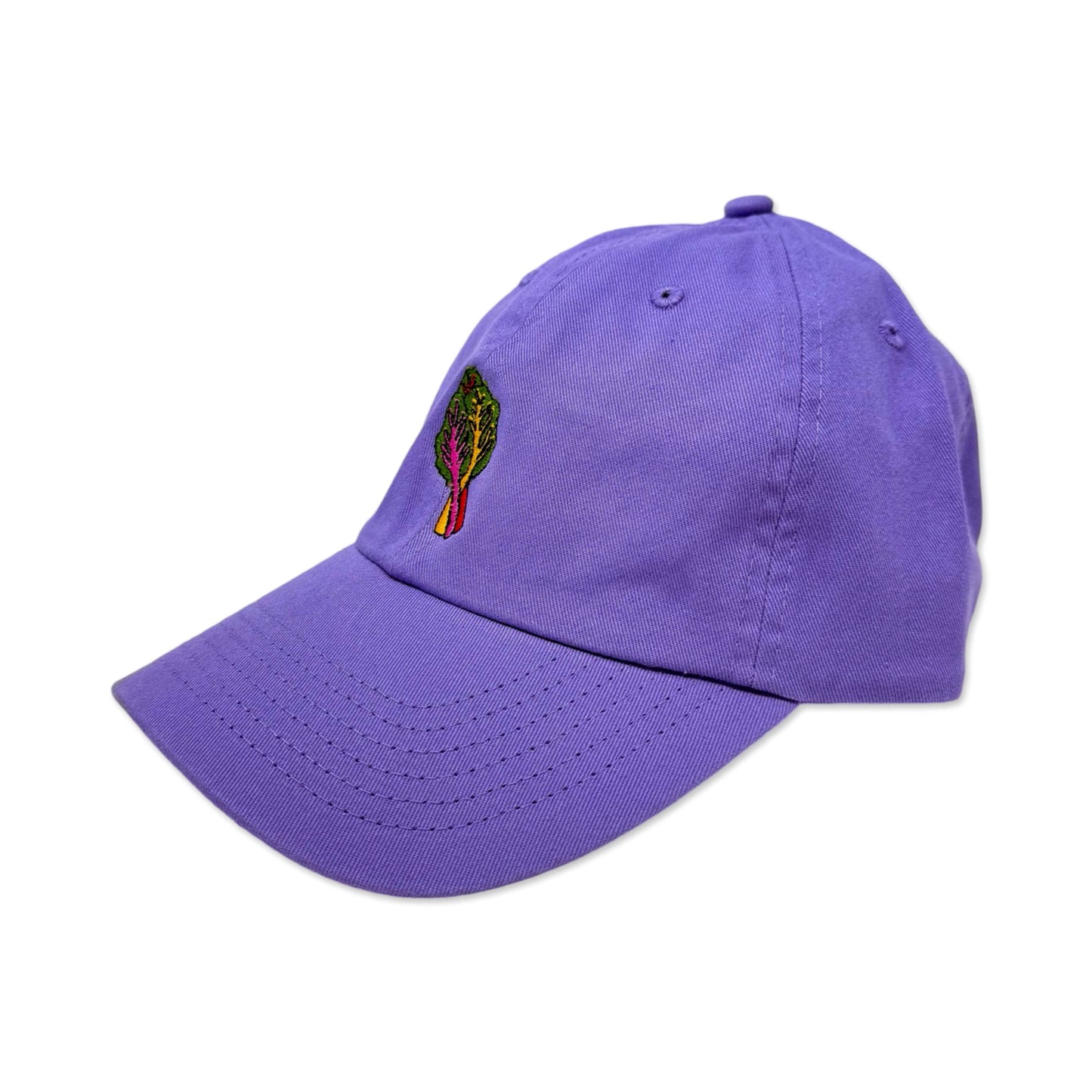 Jenny Lemons - Embroidered Rainbow Chard Hat