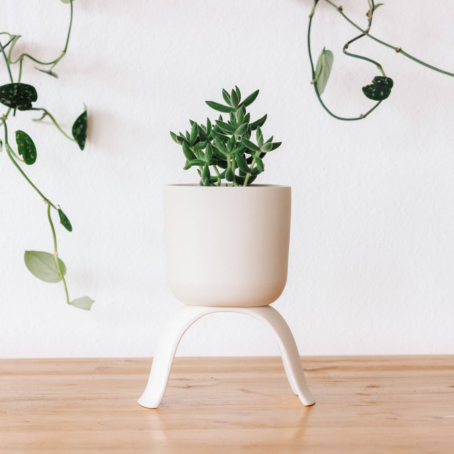 Carter and Rose High Rise, Classic Planters