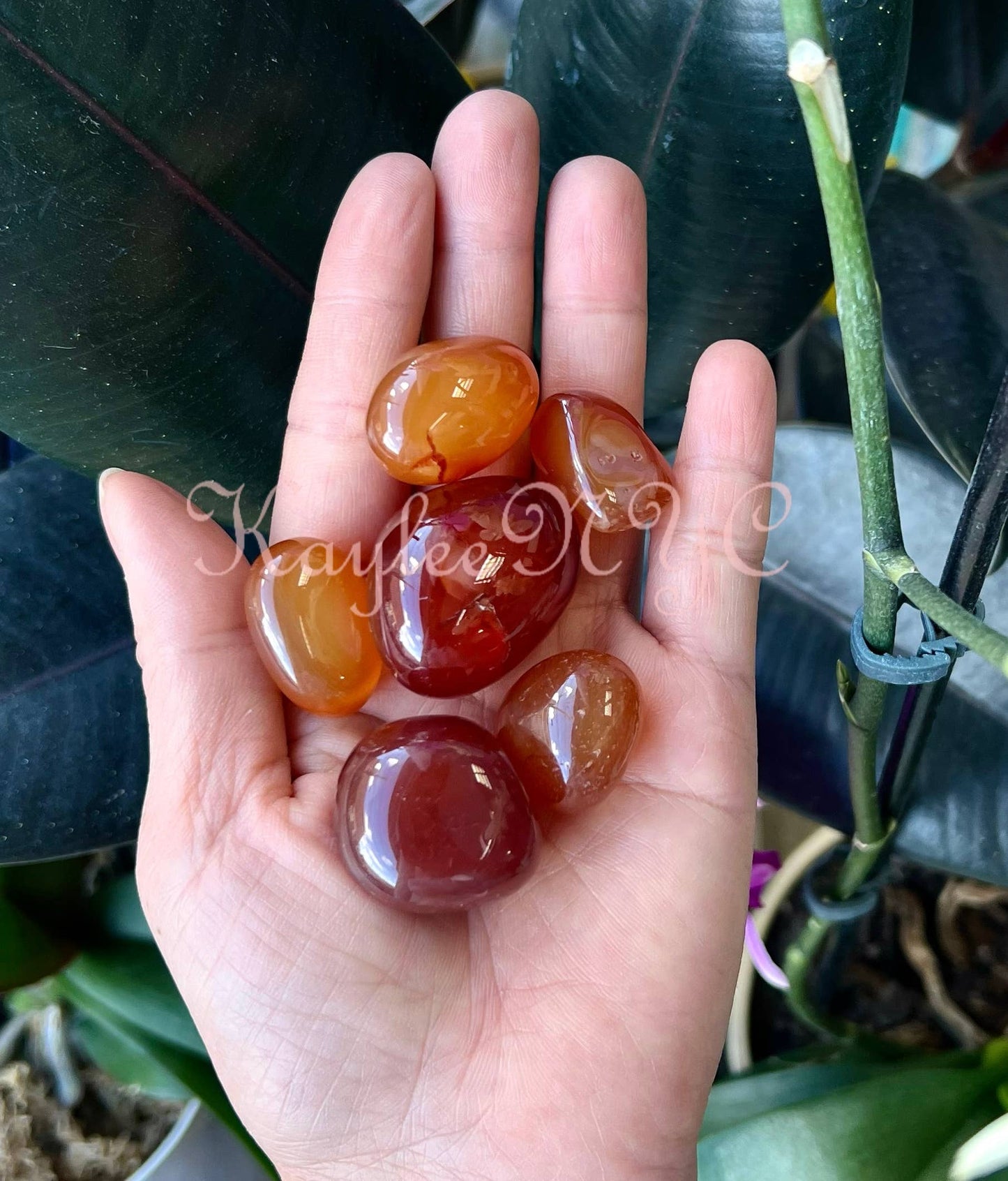 Carnelian Tumble Healing Energy