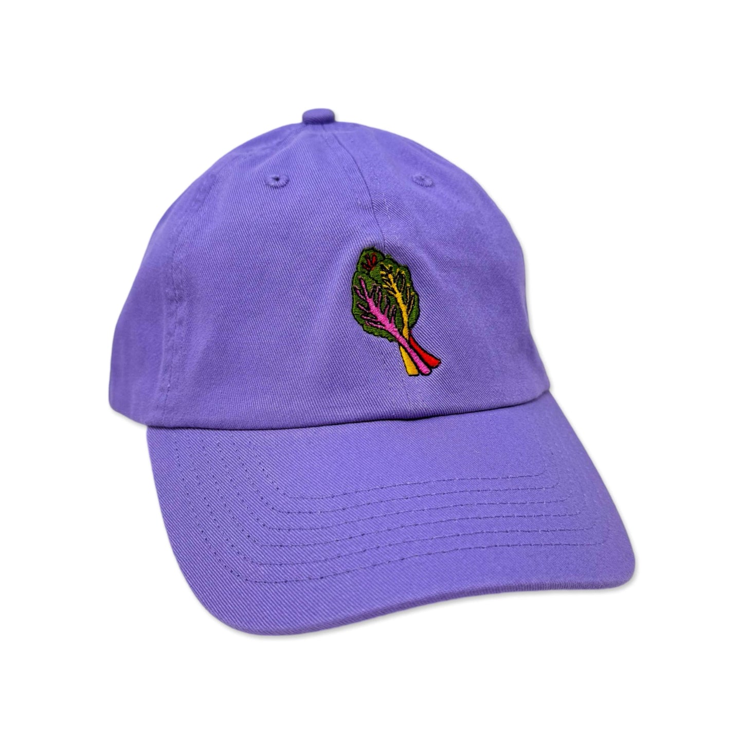 Jenny Lemons - Embroidered Rainbow Chard Hat