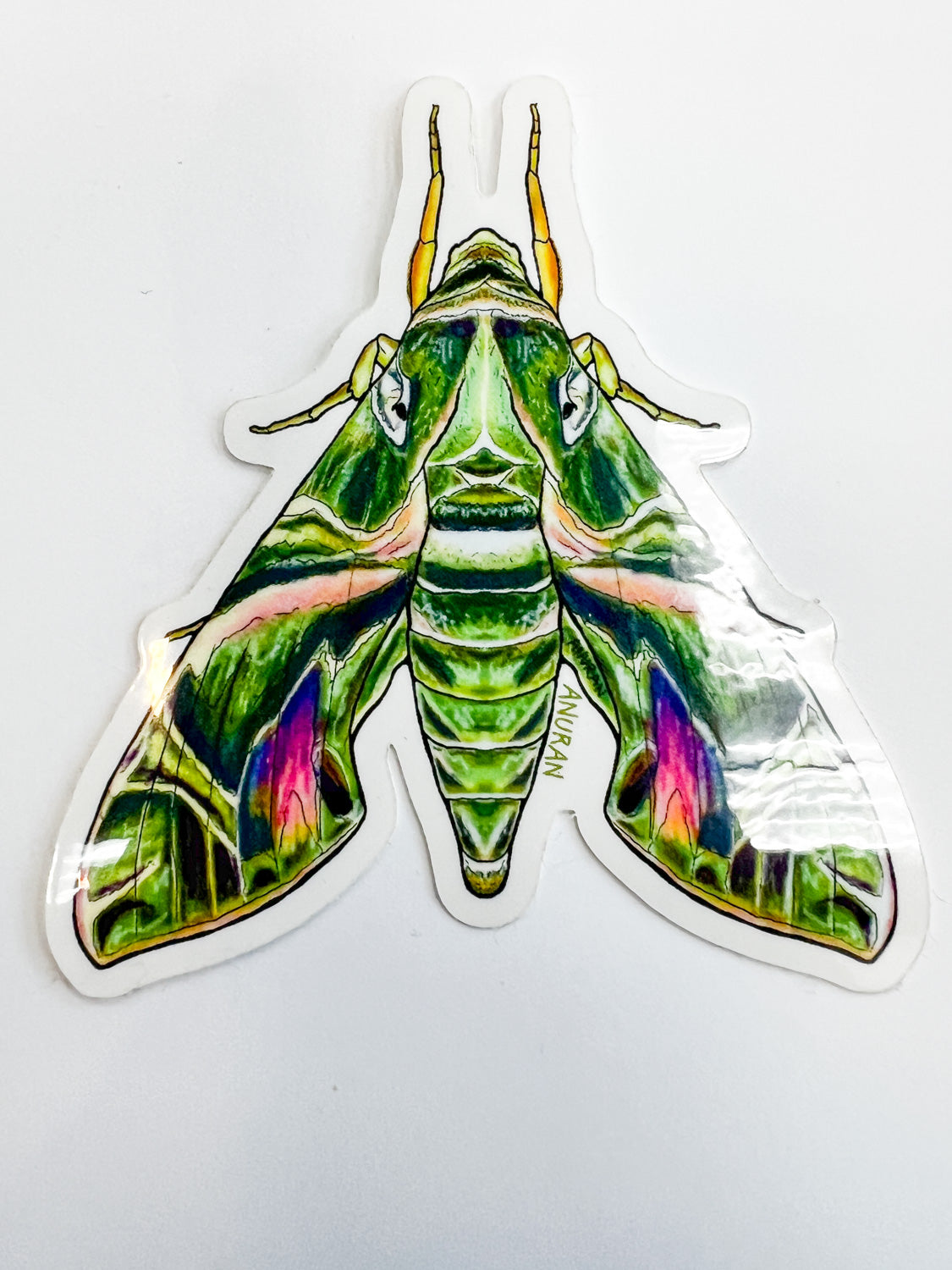 Anuran Green Moth Sticker