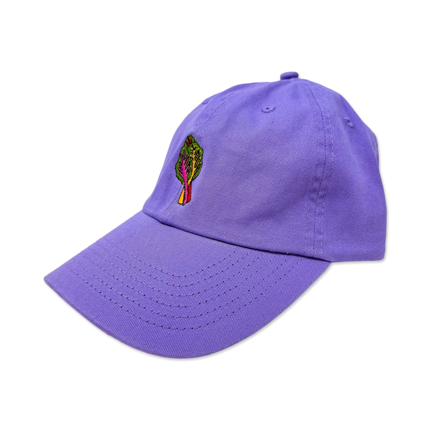 Jenny Lemons - Embroidered Rainbow Chard Hat