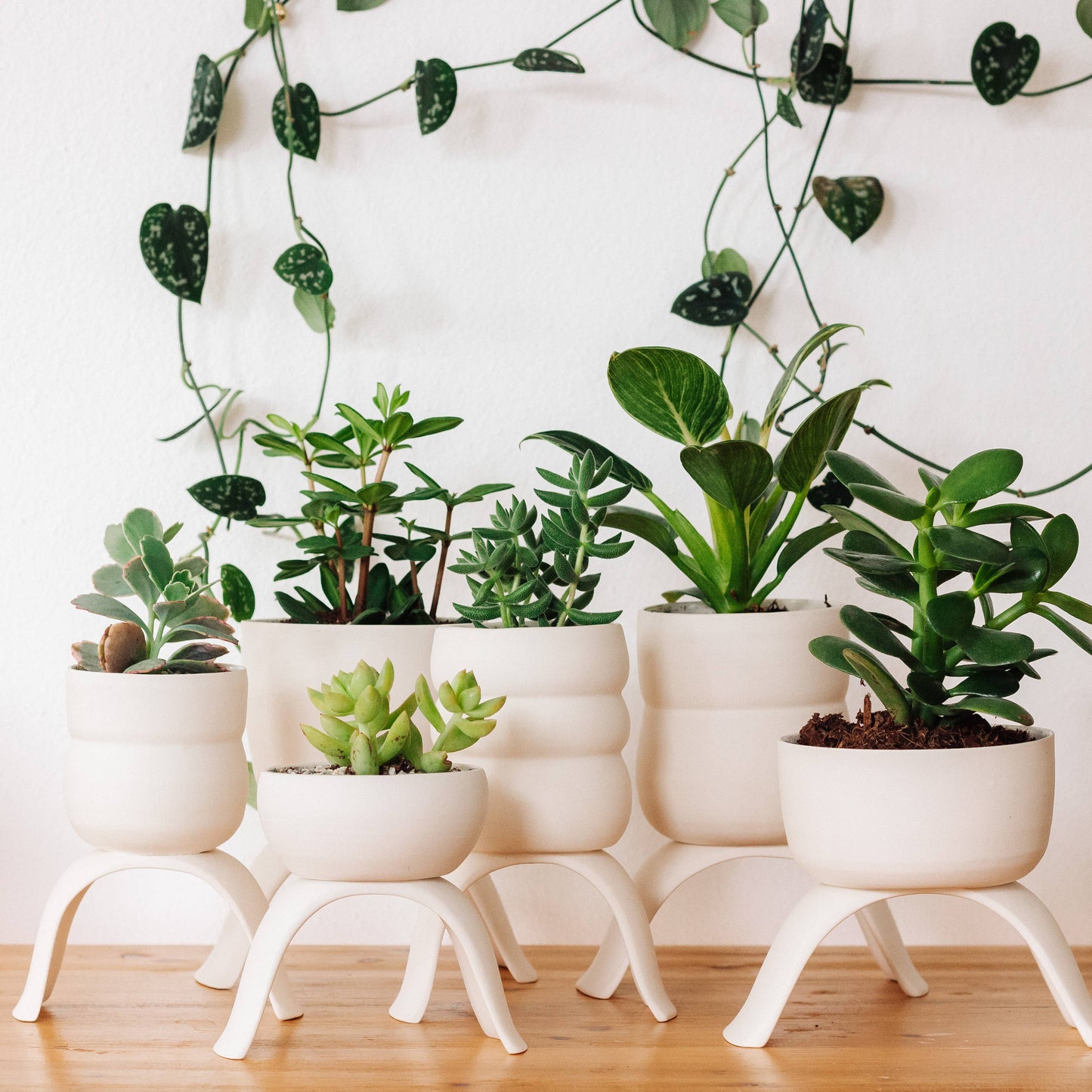 Carter and Rose High Rise, Classic Planters