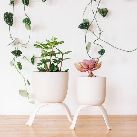 Carter and Rose High Rise, Classic Planters