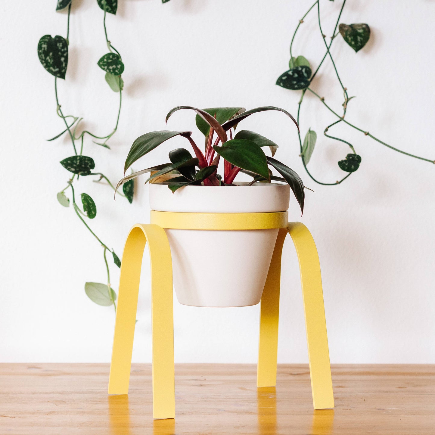 Carter and Rose The Perch