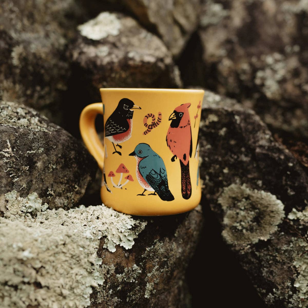 Bird Collective - Eastern Backyard Birds Ceramic Mug