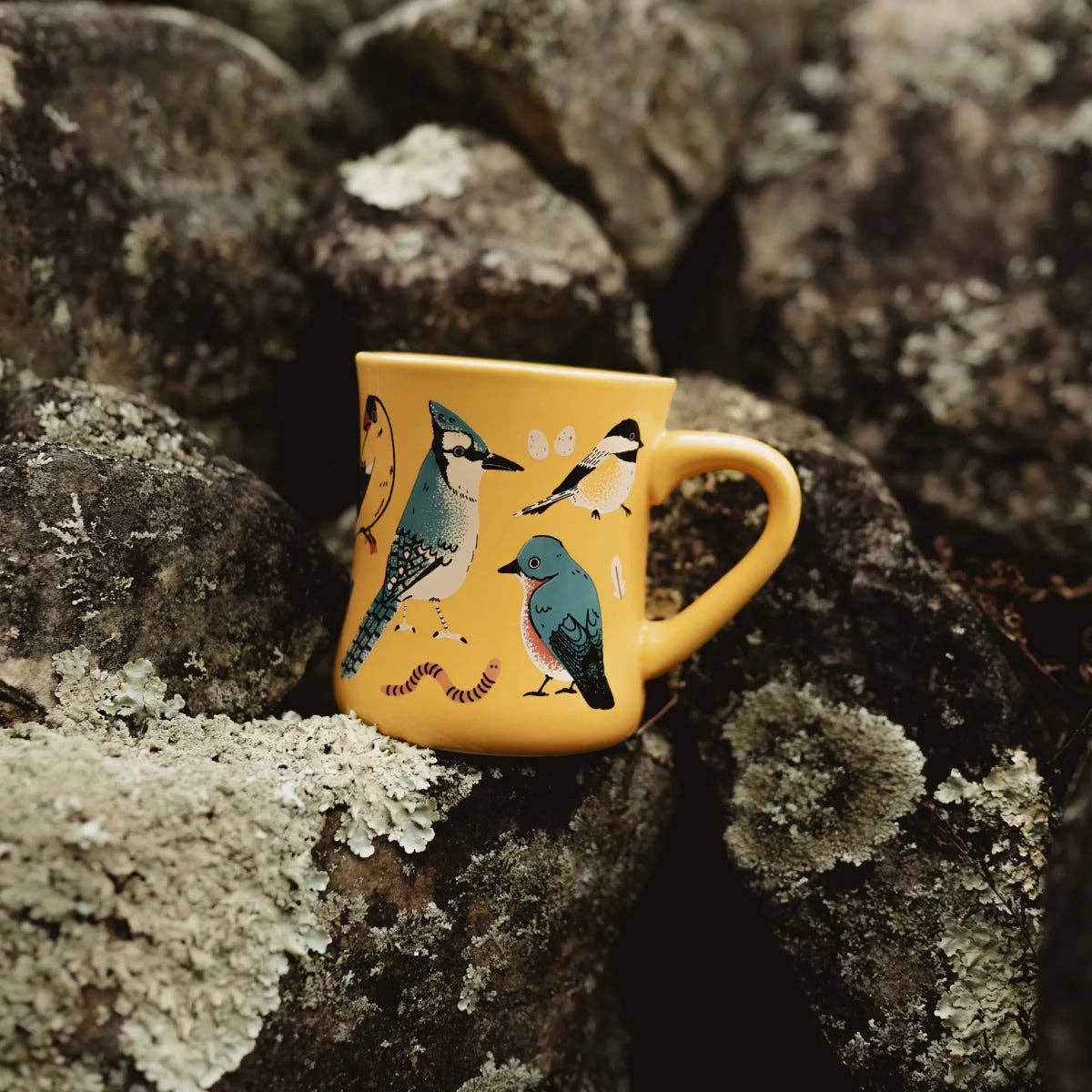Bird Collective - Eastern Backyard Birds Ceramic Mug