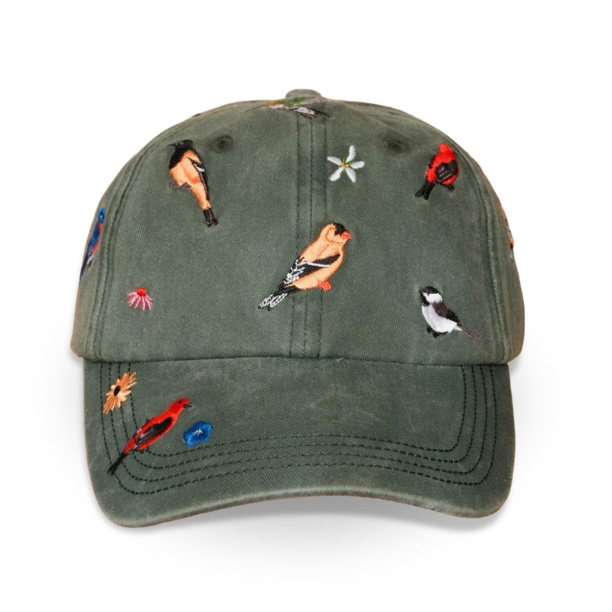 Bird Collective - Backyard Birds Washed Hat