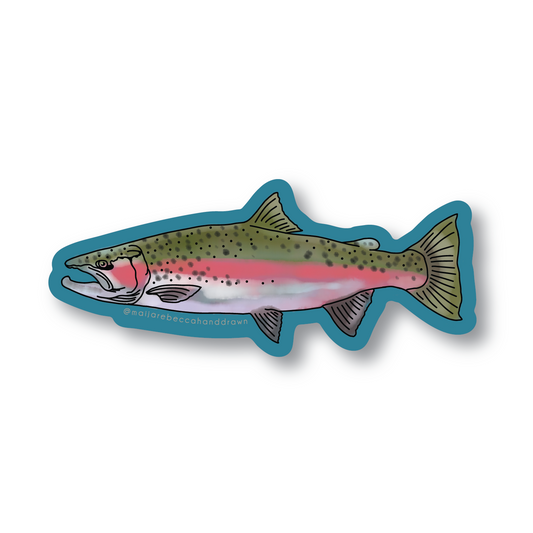 Salmon Fish Sticker