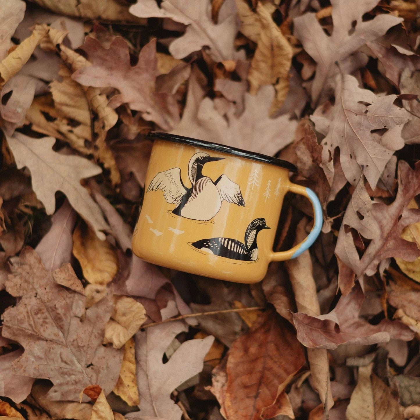 Bird Collective - Loons of North America Large Enamelware Mug