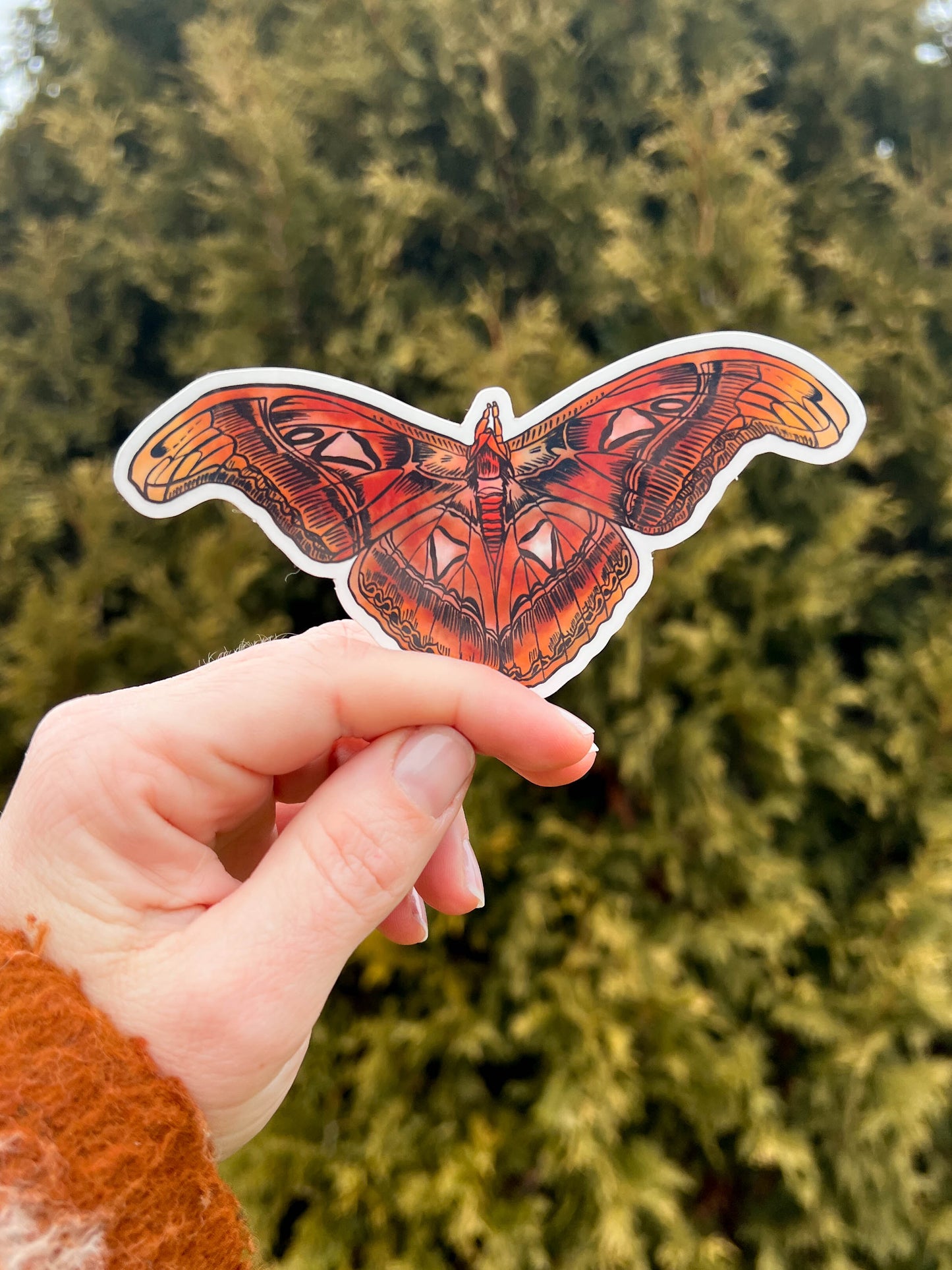 May and Mary Atlas Moth Sticker
