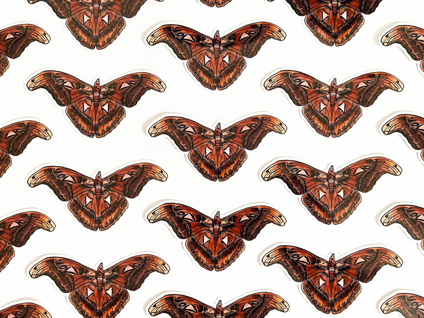 May and Mary Atlas Moth Sticker