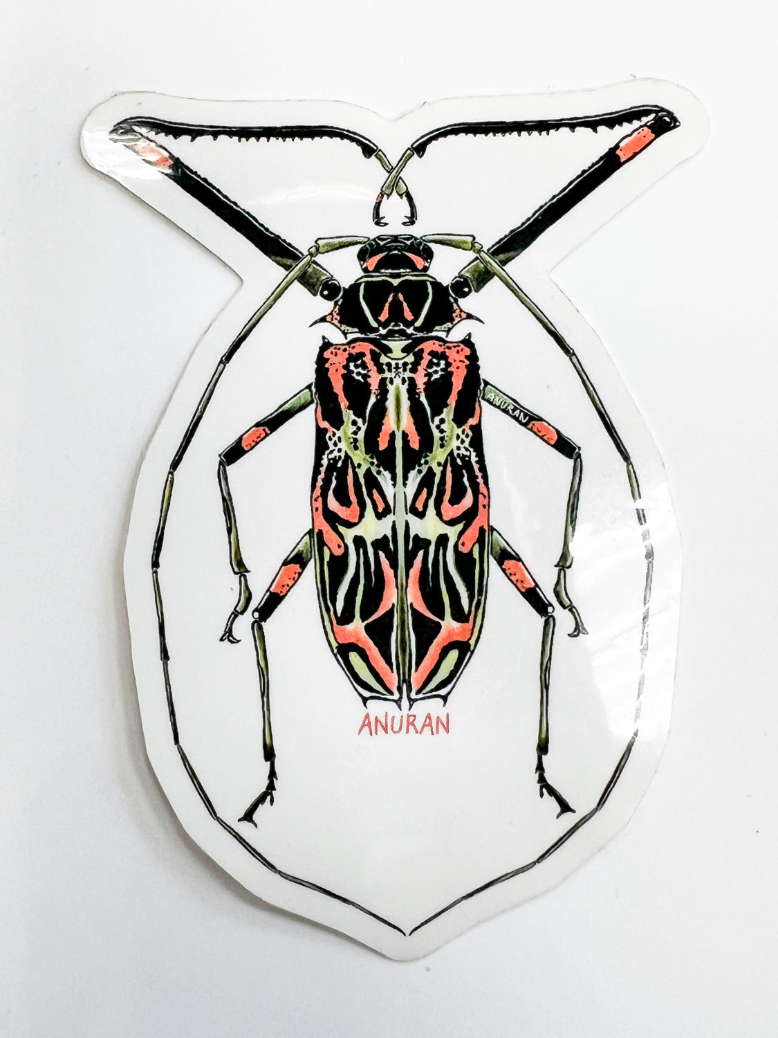 Beetle Sticker by Anuran (orange and black)