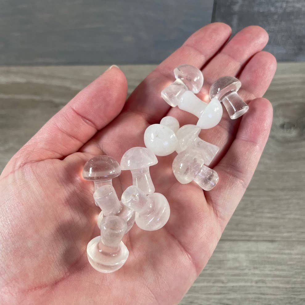 Small Gemstone Mushrooms
