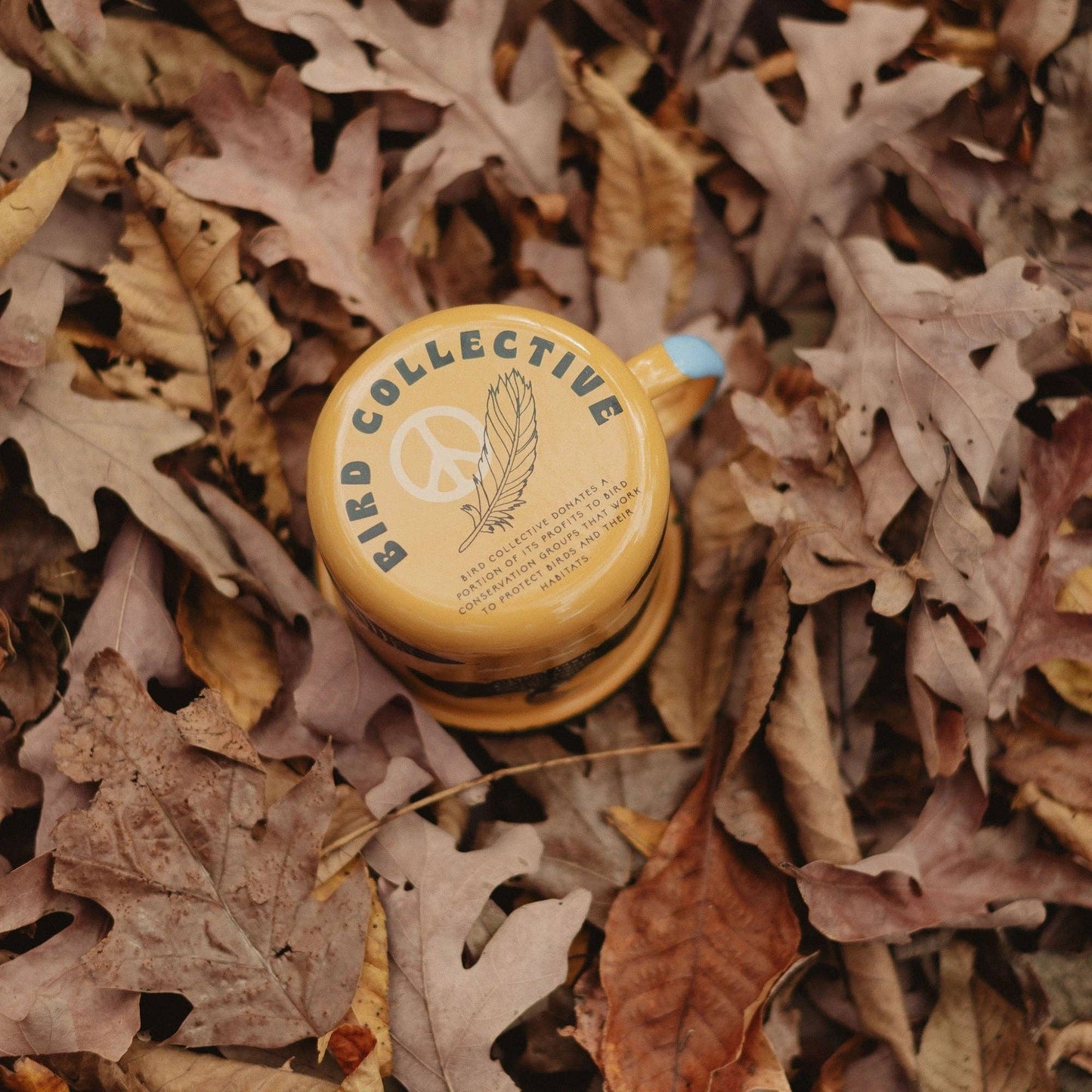 Bird Collective - Loons of North America Large Enamelware Mug