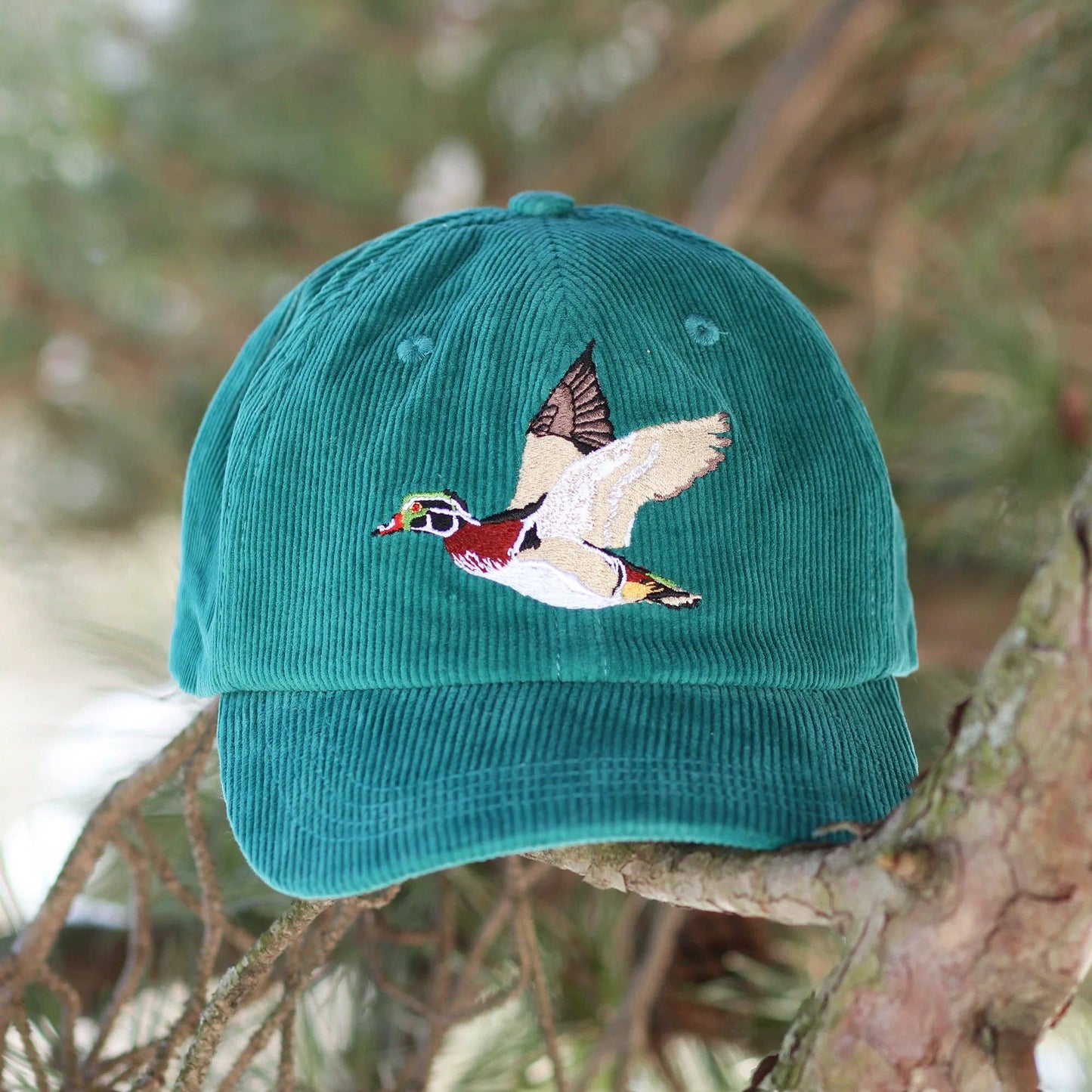 bird collective - Wood Duck Corduroy Hat