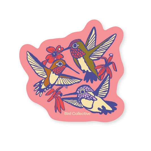 Bird Collective Hummingbird Sticker