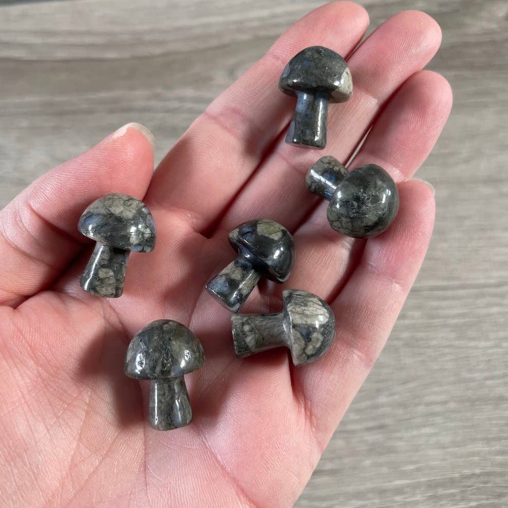 Small Gemstone Mushrooms