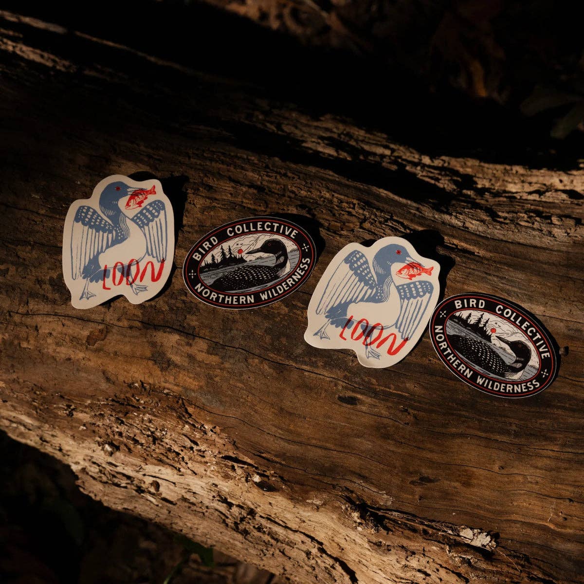 BIrd Collective - Loon Sticker