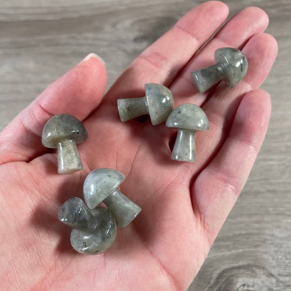 Small Gemstone Mushrooms